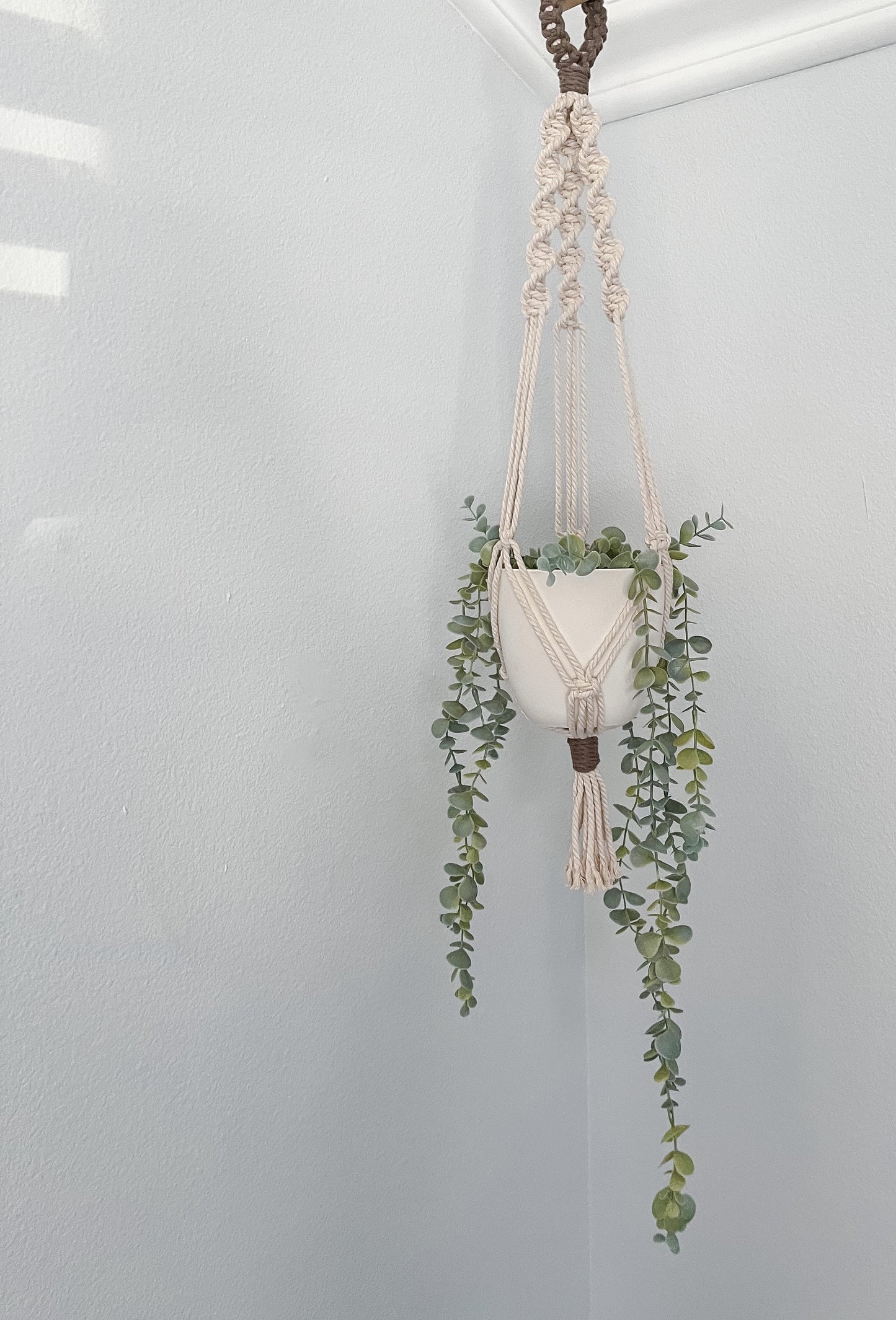 Single Plant Hanger