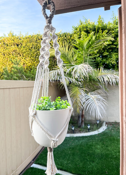 Single Plant Hanger