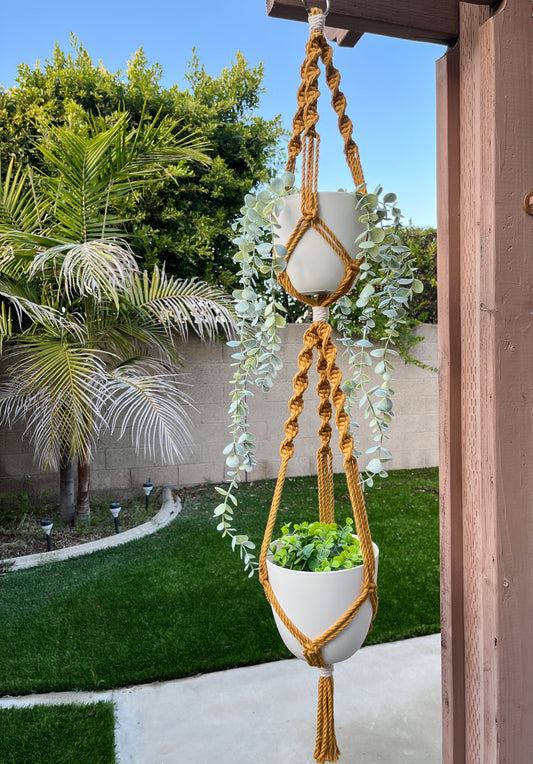 Double Plant Hanger