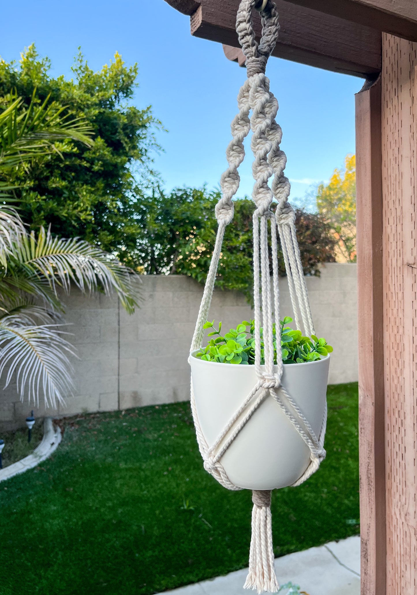 Single Plant Hanger